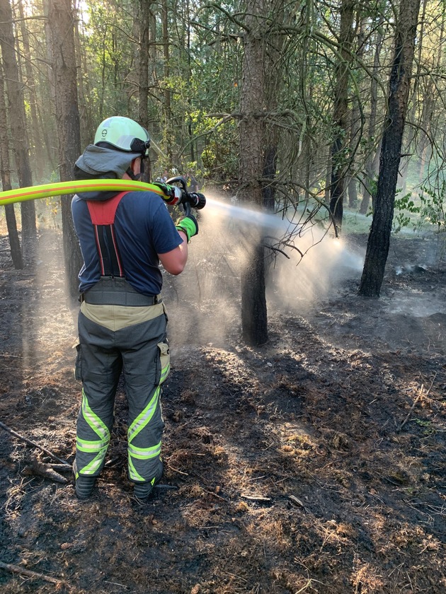 FW Hünxe: Erneuter Waldbrand