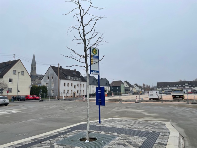 POL-PDTR: Beschädigung eines Baums am ZOB