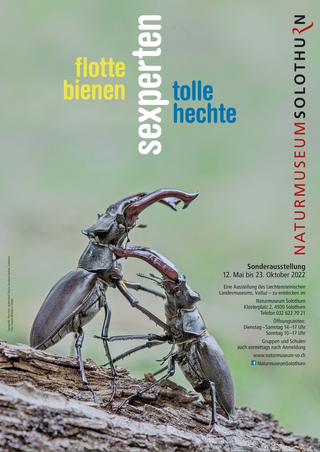 Medienmitteilung zur neuen Sonderausstellung «sexperten – flotte bienen und tolle hechte» in Naturmuseum Solothurn
