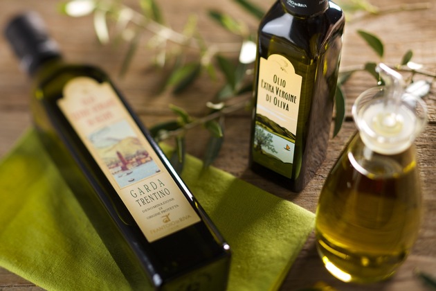 Oliven ernten im nördlichsten Olivenanbaugebiet der Welt