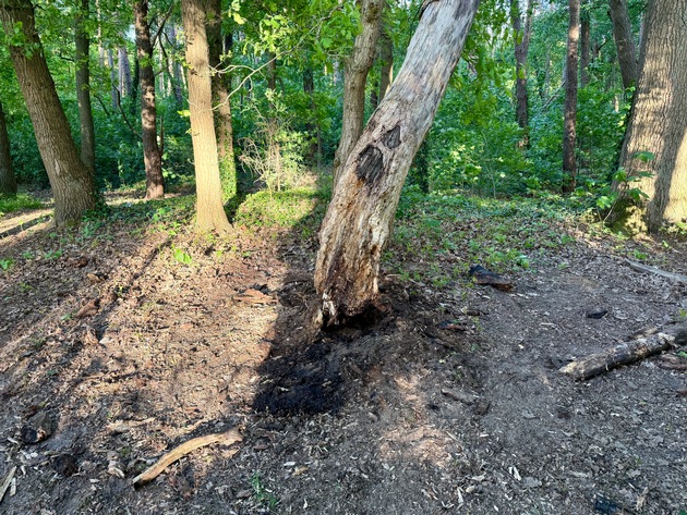 FW Hünxe: Brennender Baum im Waldstück