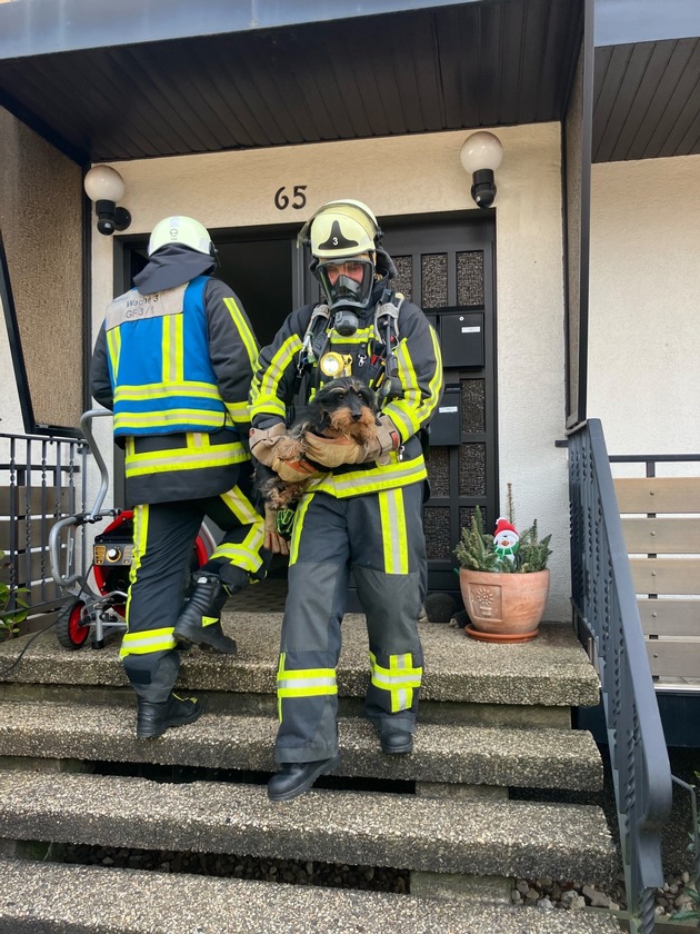 FW-BO: Zwei Hunde aus verrauchter Wohnung in Harpen gerettet