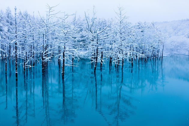Pépites pour les amoureux de la neige – la magie de l’hiver au Japon