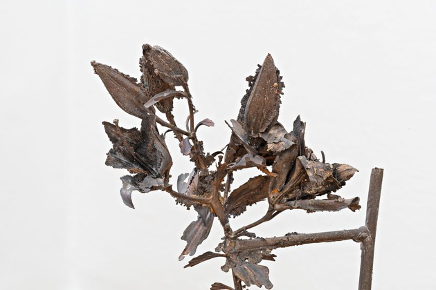 Pressemitteilung: Mit einzigartigen, ewigen Blüten zur art karlsruhe 2026