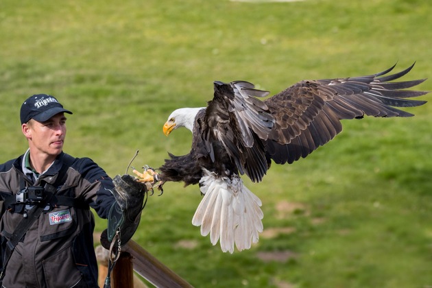 Faschingsferien im Wildparadies Tripsdrill