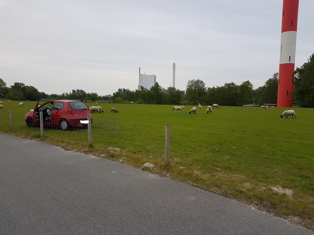 POL-WHV: Verkehrsunfall in Wilhelmshaven - Pkw kam von der Fahrbahn ab und kam auf einer Weide zum Stehen (2 Fotos)