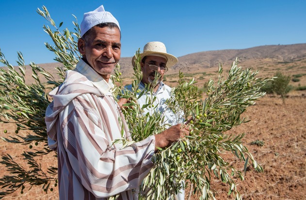 Grüne Woche 2016: Marokko - Land der Vielfalt, Land für alle Sinne