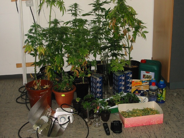 POL-HI: 33-jähriger Hildesheimer baut Cannabis an