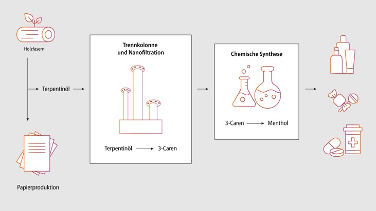Nachhaltiges Menthol aus Nebenprodukt der Papierindustrie