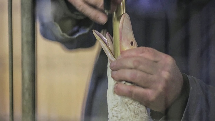 Faux Gras statt tierquälerische Stopfleber