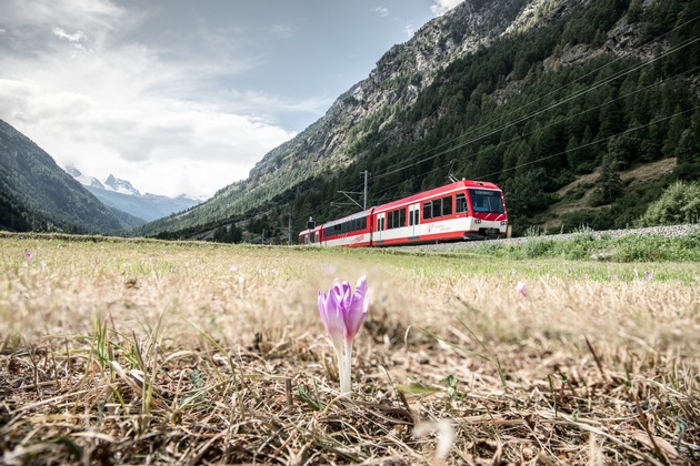 Generalversammlung der Matterhorn Gotthard Bahn vom 8. April 2021 – Coronabedingt ausserordentlich anspruchsvolles Geschäftsjahr 2020 und Wechsel im Verwaltungsrat