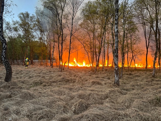 FW-SE: Einsatzkr&auml;fte bei gr&ouml;&szlig;erem Wald- und Moorbrand gefordert