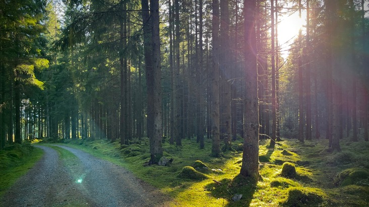 Erweiterung ist ein Irrweg für den Klimaschutz