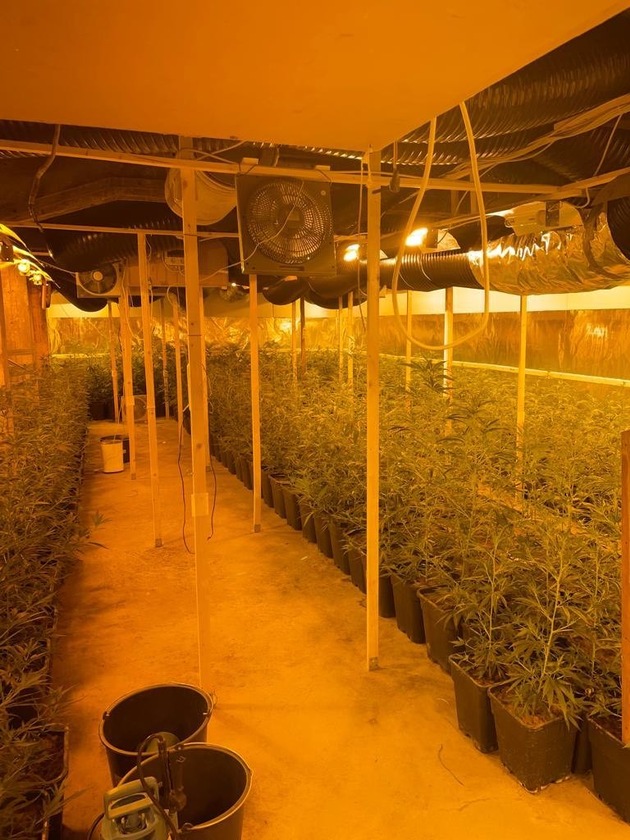 POL-ME: Schlag gegen den organisierten Drogenhandel: Polizei nimmt professionell betriebene Cannabis-Plantage hoch - Velbert - 2307029