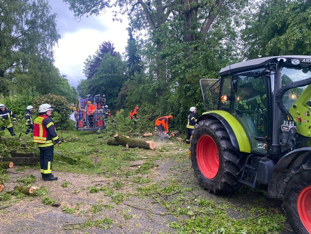 FF Olsberg: Feuerwehr Olsberg fällt über 100 Jahre alte Esche nach Blitzeinschlag