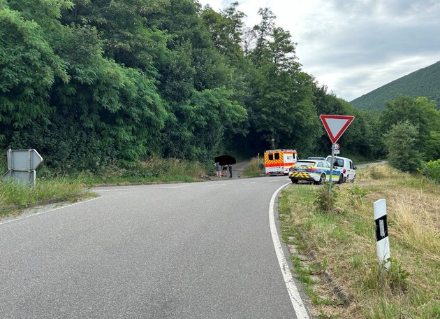 POL-PDLD: Burrweiler - Rennradfahrer übersehen