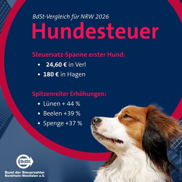 BdSt NRW: Hundesteuer steigt in 27 Kommunen