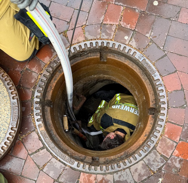 FW Osterholz-Scharm.: Feuerwehr rettet Entenküken