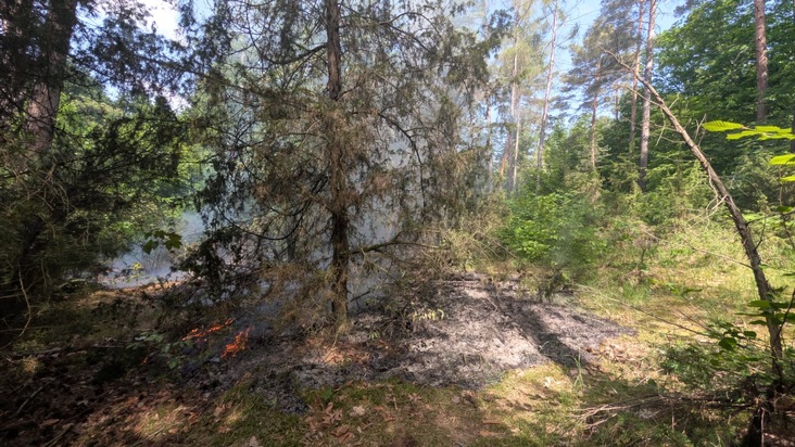 FW Dresden: Waldbrand in der Dresdner Heide