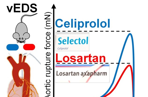Stiftung für Menschen mit seltenen Krankheiten: Wenn die Hauptschlagader plötzlich reisst: Ein kostengünstiges Medikament stärkt die Aorta
