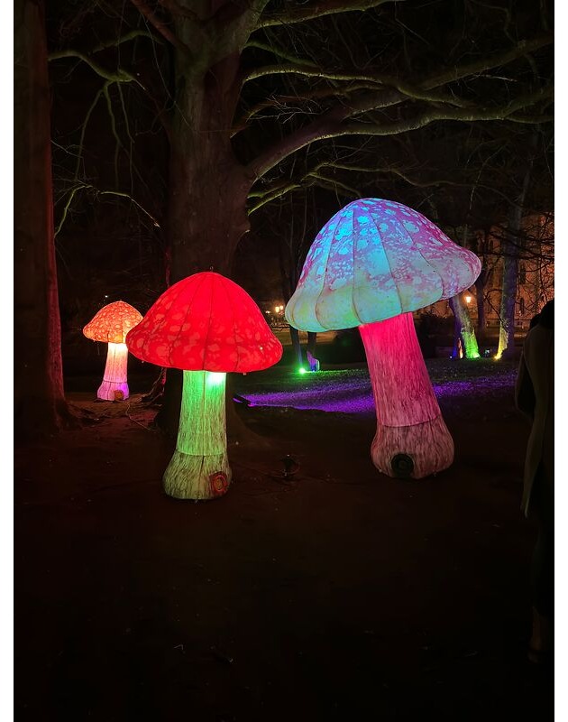 Ein Wochenende für die ganze Familie: Nordlichter-Fest & erster verkaufsoffener Sonntag in Celle