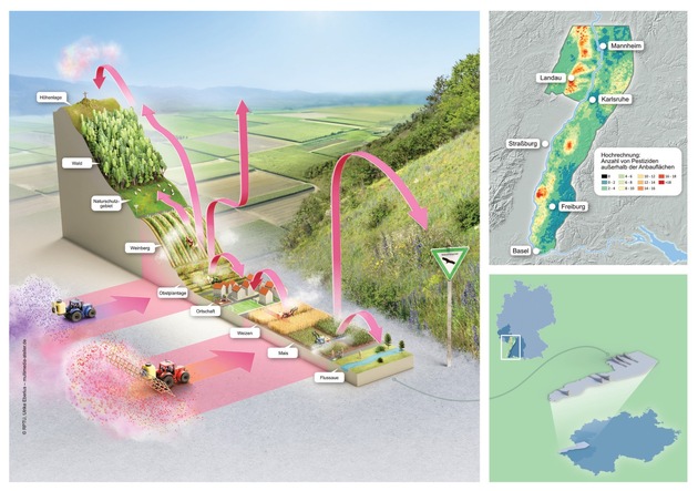 Nicht nur auf Feldern: Flächendeckende Pestizidbelastung am Oberrhein von der Ebene bis in Höhenlagen nachgewiesen