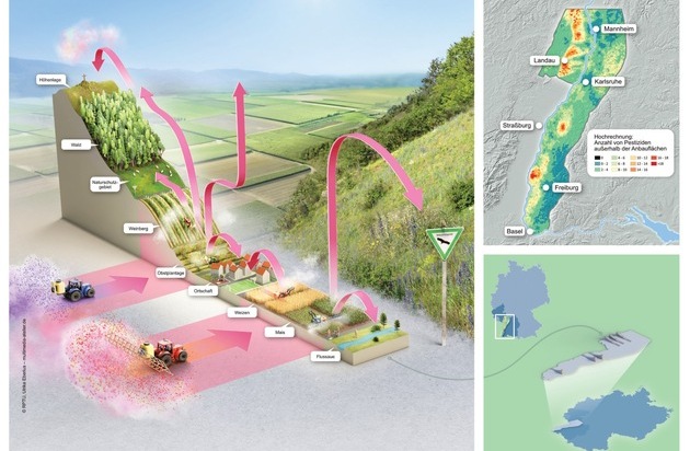 Nicht nur auf Feldern: Flächendeckende Pestizidbelastung am Oberrhein von der Ebene bis in Höhenlagen nachgewiesen