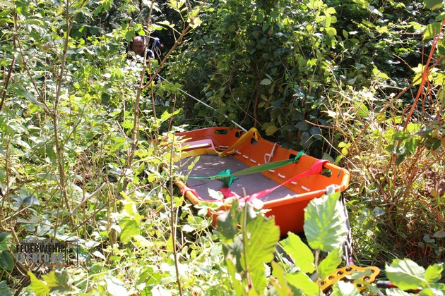 FW-MK: Rettungsaktion im Wald