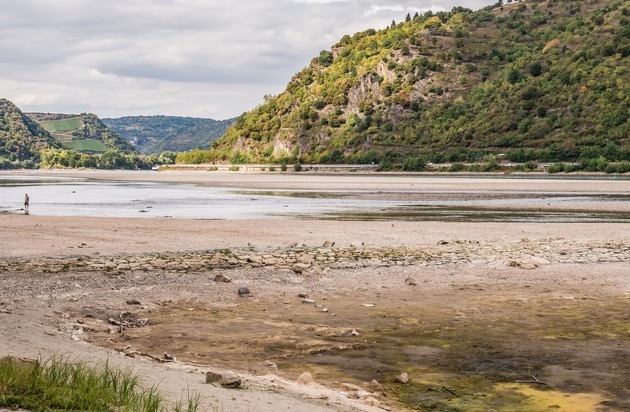 Drees & Sommer SE: D&uuml;rre und Wassermangel: Wie St&auml;dte und Kommunen gegensteuern k&ouml;nnen