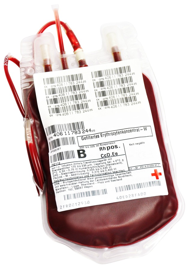 DRK muss Vorsorge treffen - Blutspendedienst ruft auf: Jetzt Blut spenden!
