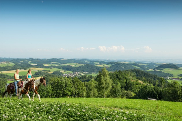 Auf vier Hufen in den Urlaub: Wanderreiten im Mühlviertel - BILD