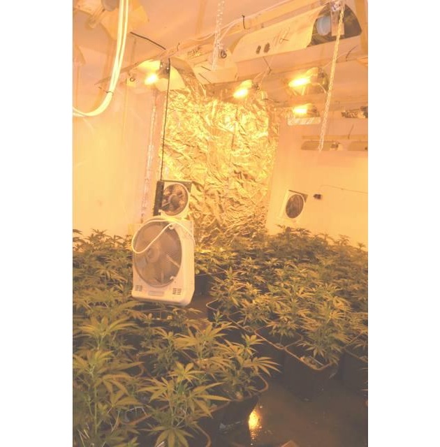 POL-H: Garbsen: Polizei hebt Cannabis-Großplantage aus