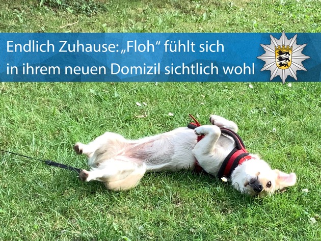POL-KA: (KA) Karlsruhe - Echtes Happy End: Hund sorgt für kurze Vollsperrung auf der A8 und wird von Polizist adoptiert