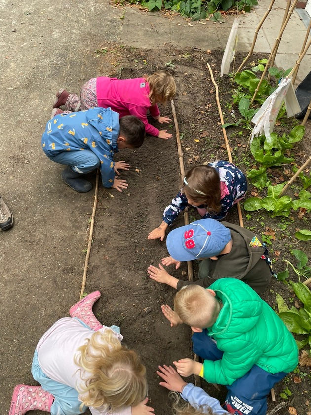 Bildungsf&ouml;rderung: Kita-Kinder bauen eigenes Gem&uuml;se an