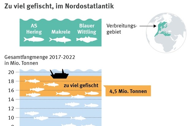 Marine Stewardship Council (MSC): Überfischung und politisches Missmanagement bringen den Hering an eine kritische Grenze / Fangmengen sollen um 44% sinken