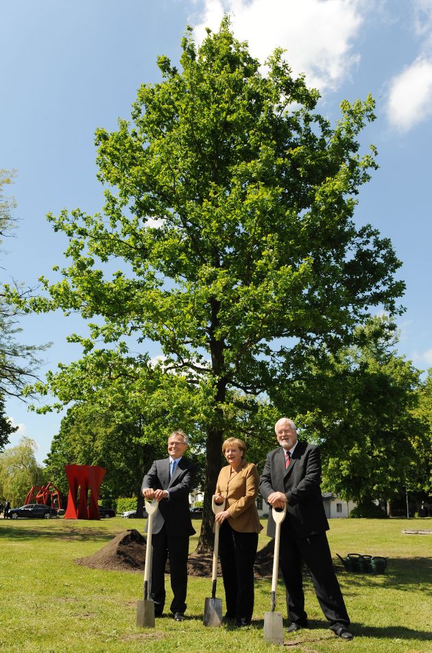 1 Million Fielmann-Bäume: Baumpflanzung mit der Bundeskanzlerin