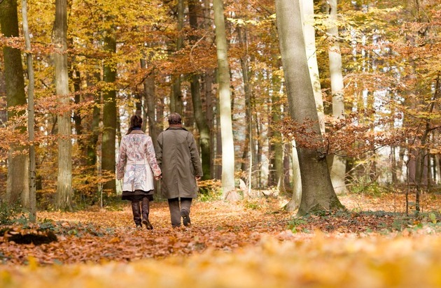 FriedWald GmbH: Tag der Stille im FriedWald / An einigen der 60 FriedWald-Standorte in Deutschland wird am Totensonntag auf besondere Weise der Verstorbenen gedacht