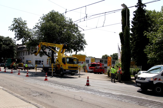 FW-E: 20 cm starker Ast stürzt auf Steeler Straße, PKW beschädigt