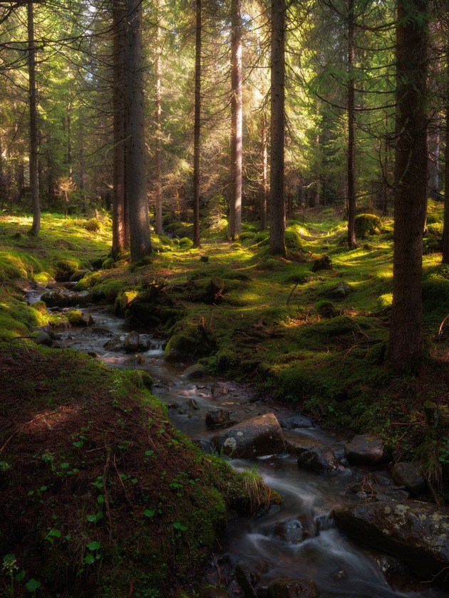 Quietcation im Trentino