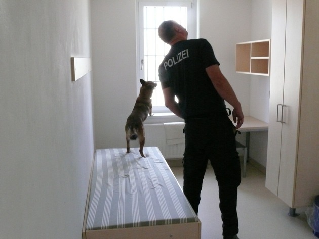 BPOLI EF: Diensthunde der Bundespolizei trainieren in Jugendarrestanstalt