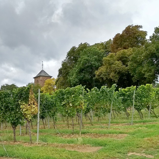 POL-PDNW: Kundgebungen rund um die Herxheimer Glocke friedlich verlaufen