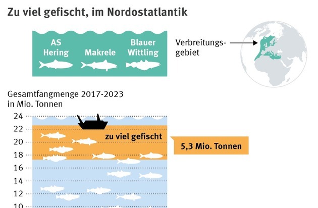 Marine Stewardship Council (MSC): Neue Daten offenbaren starken Rückgang der Herings- und Makrelenbestände im Nordostatlantik