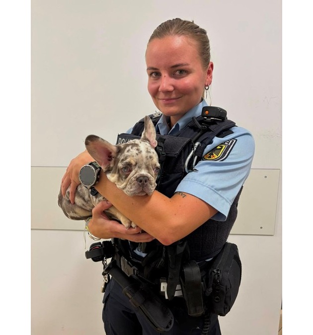 Bundespolizeidirektion München: Tierisches Trio am Hauptbahnhof / Drei Welpen übernachten bei der Bundespolizei