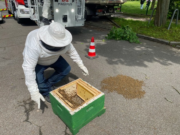 FW-DO: Bienenschwarm auf der Straße beschäftigt Feuerwehr