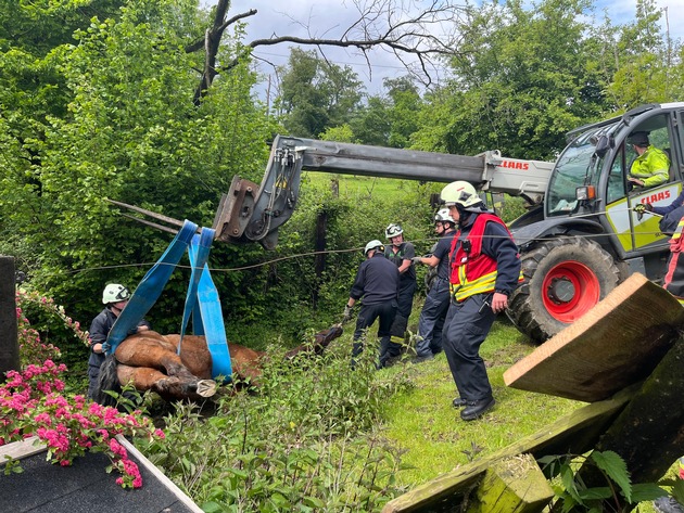 FW-Velbert: Pferd aus misslicher Lage befreit