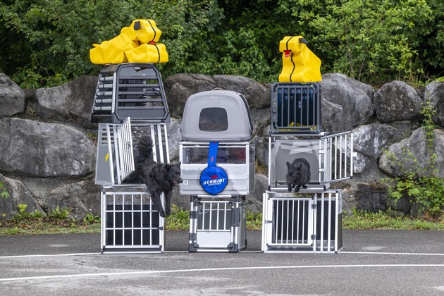 Hundeboxentest: Einzelne Modelle zersplittern beim Crashtest