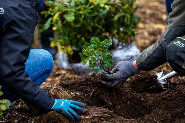 Krombacher Cash-Korken Aktion 2026: 10 Millionen Euro Sofortgewinne und erneut 1 Million B&auml;ume f&uuml;r Deutschland
