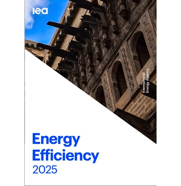 Reaktion auf IEA-Bericht: Danfoss-CEO mahnt mehr Tempo