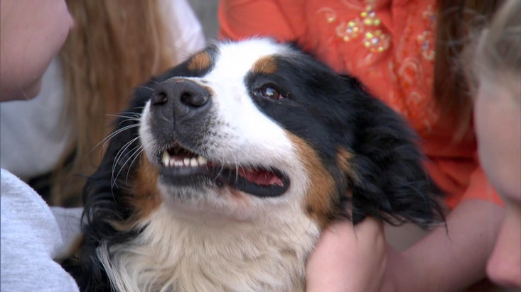 &quot;Die Wollnys&quot; ab 7.Dezember mit neuen Folgen bei RTL II