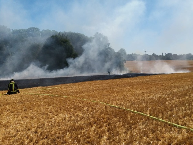 FW-D: Stoppelfeldbrand in Hubbelrath - Feuerwehr verhindert ein Übergreifen auf Wald
